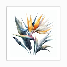 Flower of Bird of Paradise 1 Art Print