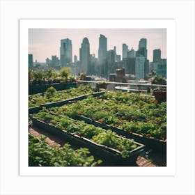 Rooftop Garden In New York City Art Print