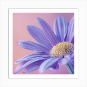 Pastel colour Chamomile Flower Art Print