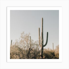 Arizona Desert Square Art Print