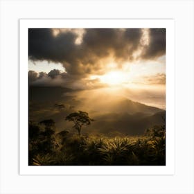 Sunset In The Rain Forest Art Print