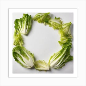 Lettuce Leaves In A Circle Art Print