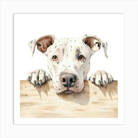 Dalmatian Dog 4 Art Print