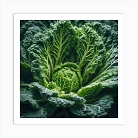 Close Up Of A Green Cabbage 1 Art Print