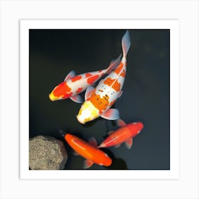 Koi Fish 71 Art Print