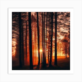 Sunrise In The Forest 4 Art Print