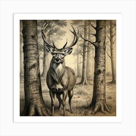 Deer In The Woods 12 Art Print