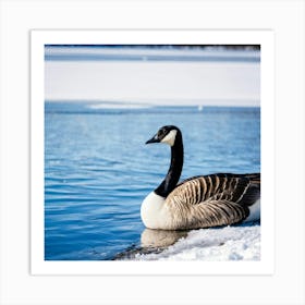 Canadian Geese 3 Art Print