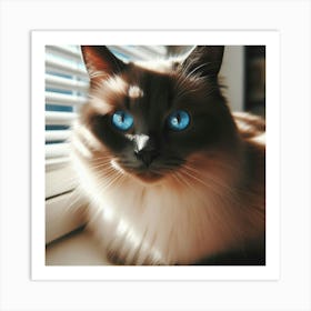 Cat With Blue Eyes Art Print