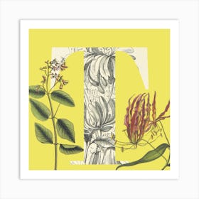 Botanical T Art Print