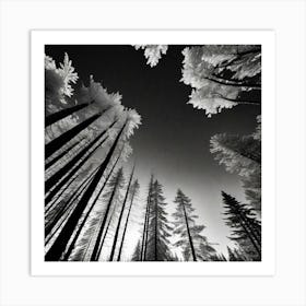 Infrared Forest Art Print