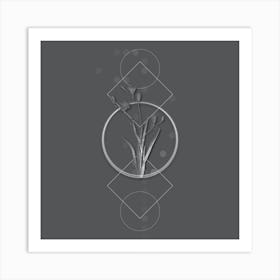 Vintage Ixia Bulbifera Botanical with Line Motif and Dot Pattern in Ghost Gray n.0359 Art Print