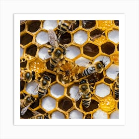 Bees On A Honeycomb Art Print