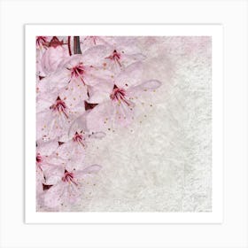 Cherry Blossoms Art Print