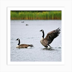 Canadian Geese 22 Art Print