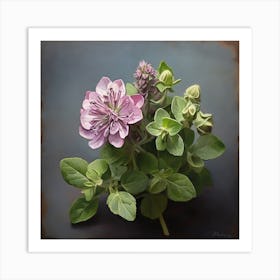 Clematis Art Print