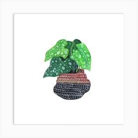 Lungwort Plant Square Art Print