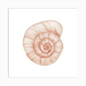 Pink Seashell 3 Art Print