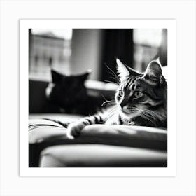 Black And White Cat Portrait 1 Art Print