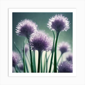 Chives Stock Videos & Royalty-Free Footage Art Print