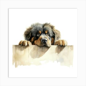 Tibetan Mastiff Dog 2 Art Print