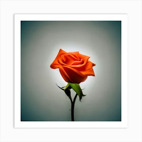 Orange Rose Art Print