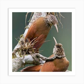 Two Birds Perched On A Branch Art Print