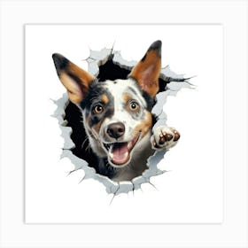 Australian Cattle Dog Art Print