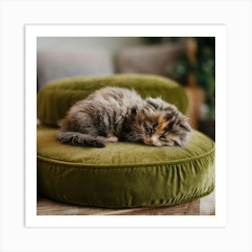 A Photo Of A Calico Kitten With Messy Fluffy Fur Affiche