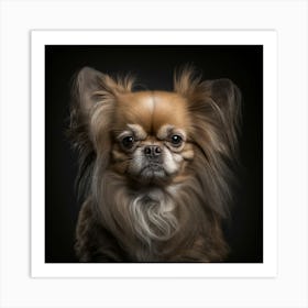 Chihuahua Portrait 2 Art Print