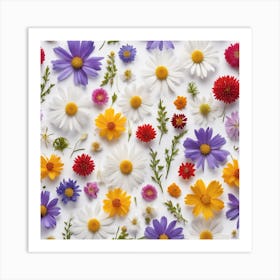 Wildflowers On White Background Art Print