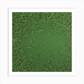 Grass Flat Surface For Background Use (31) Art Print