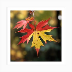 A red maple leaf Art Print