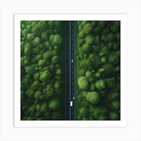 Aerial View Of A Forest 1 Art Print