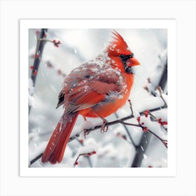 Cardinal In The Snow 3 Art Print