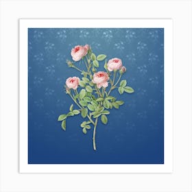 Vintage Burgundian Rose Botanical on Bahama Blue Pattern n.1418 Art Print