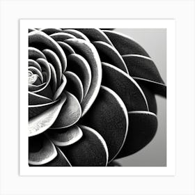 Black And White Flower Art Print