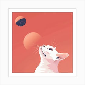 Cat Looking Up At The Sun Art Print