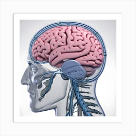3d Render Of A Medical Image Of A Male Figure With Brain Highlighted (1) 1 Art Print
