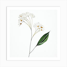 plant minimalist 5 Art Print