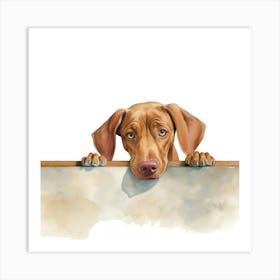 Vizsla Dog 1 Art Print