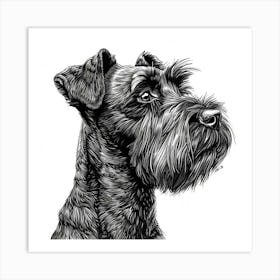 Cesky Terrier Dog Line Sketch 1 Art Print