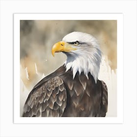 Watercolour Bald Eagle 3 Art Print