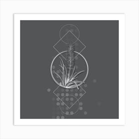 Vintage Snake Plant Botanical with Line Motif and Dot Pattern in Ghost Gray n.0301 Art Print