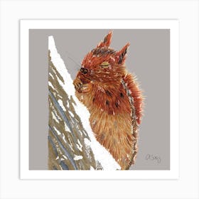 Squirrel. 1 Art Print