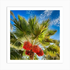 Palm Tree With Red Berries Art Print