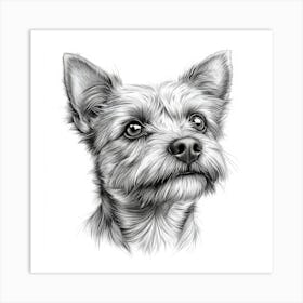 Cairn Terrier Art Print