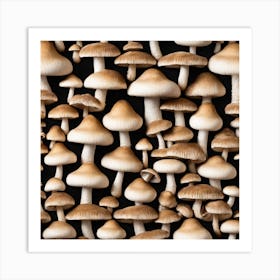 Mushrooms On Black Background Art Print