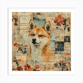 Shiba Inu 6 Art Print