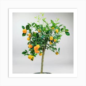 Tangerine Tree Art Print